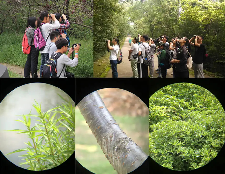 SVBONY Bird Watching Telescope SV47 Powerful Binoculars 8x32/8x42/10x42 Professional IPX7 Waterproof